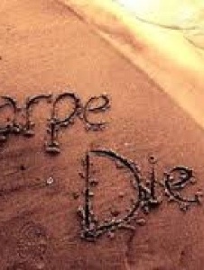 Foto di Xcamufladonetx