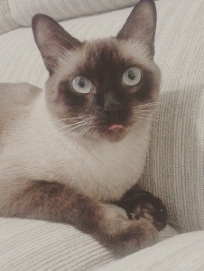 Foto de Zuzu0508