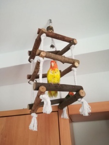 Foto de Chariiiii