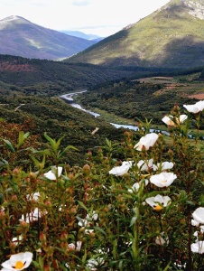 Photo de Jarablanc4