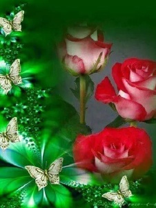 Foto von 3florcitas