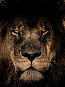 Foto de Leonardo30
