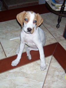Photo de Nati087