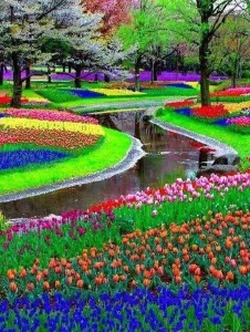 Foto de Flors83319