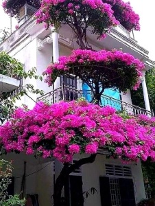 Foto de Mariaa2323