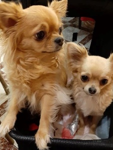Foto de Mamoune2021