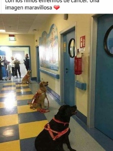 Photo de Carolina20142