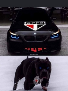 Foto de Lukas8225