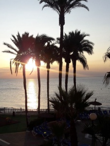 Foto de Amanecer155