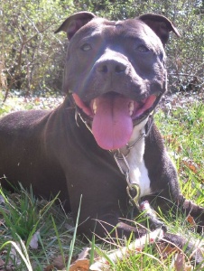 Foto de Sandrinetm51932