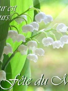 Foto von Fleur34