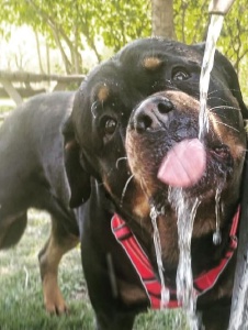 Foto de Microonda2023