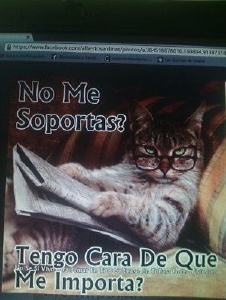 Foto de Maymay94