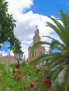 Foto de Tamboril9