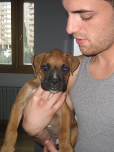 Foto di Ballack07