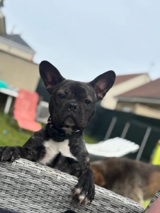 Foto de Alexia362