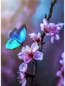 Foto di 0adina