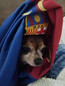 Foto de Superzumbada