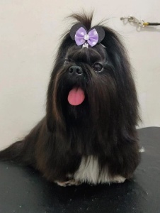 Foto de Natalias53550