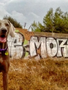 Foto de Elnodriza1