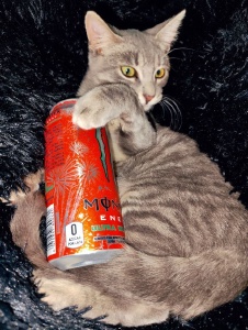 Foto de Osaaky