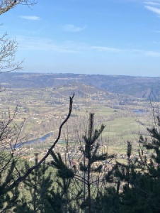 Foto di Noelle43600
