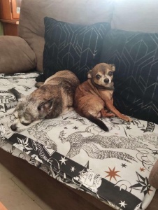 Foto de Superzumbada