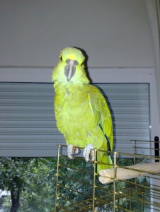 Foto von Ricard73
