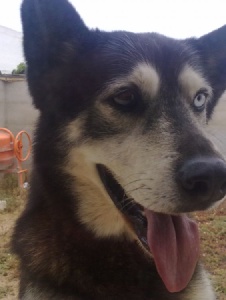 Foto de Newbert