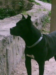 Foto de Piruakira