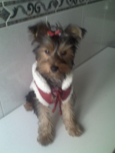 Foto de Julietaromeo1