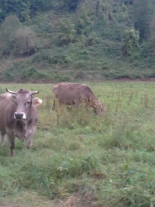 Foto de Sandrasdp