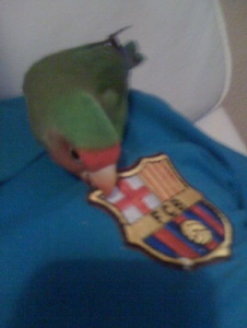 Photo de Chata69