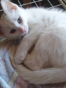 Foto de Lady1710