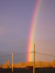 Photo de Pajarapinta