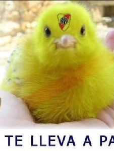 Foto de Litooooo