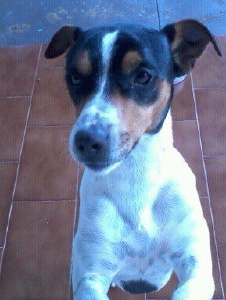Foto de Marcolelo