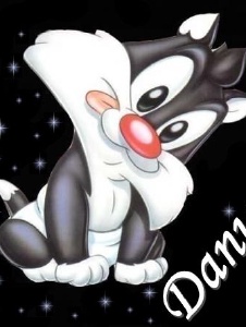 Foto de Drtcompeticion