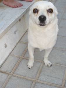 Foto de Adrindi