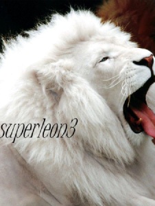 Foto di Superleon3