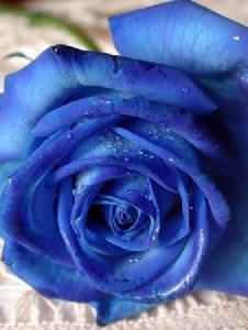 Foto de Athenea61