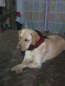 Photo de Lolamonona