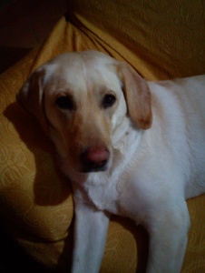 Foto de Elaisa81