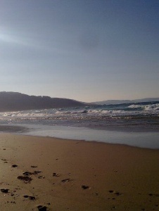 Foto de Tenienteblueber