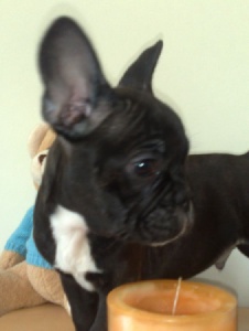 Photo de 8lukitas