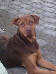 Foto de Vanin35
