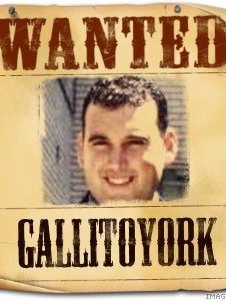 Foto di Gallitoyork