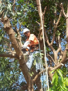 Foto de Evaristo62
