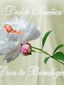 Foto de Pescarcanario