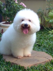 Foto de Marciaohlson1